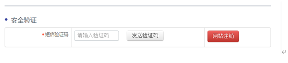 全國公安機關互聯(lián)網(wǎng)站安全服務平臺 備案操作指南.png