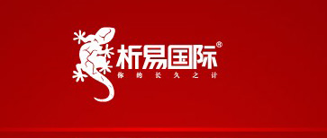 析易國際（蜥蜴團(tuán)隊）網(wǎng)站改版 網(wǎng)站設(shè)計